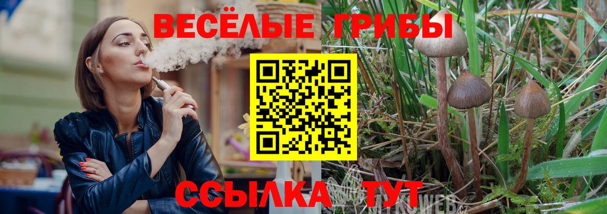 Галлюциногенные грибы ЛСД  Вход с VPN  Шадринск 